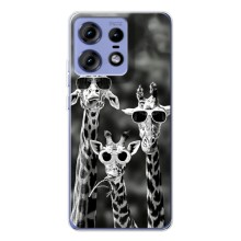 Силиконовый чехол с КАРТИНКАМИ лето для Motorola Edge 50 Pro (AlphaPrint) (Жирафы в очках)