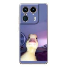 Бампер з принтом Меми для Motorola Edge 50 Ultra – Качка
