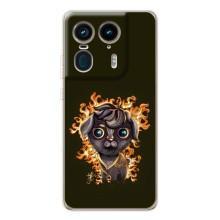 Чехлы на военную тематику для Motorola Edge 50 Ultra – Бавовна мем