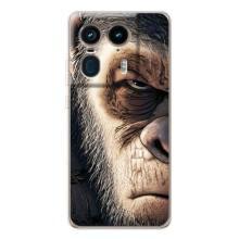 Чохли з Горилою на Мото Ейдж 50 Ультра – Суворий