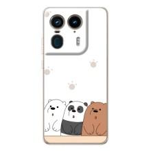 Чохли з зображенням різних тварин на Motorola Edge 50 Ultra (Здивовані ведмедики)