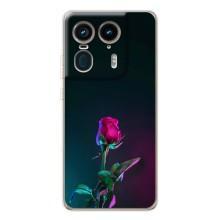 Чохли з принтом Троянд для Motorola Edge 50 Ultra – Нічна троянда