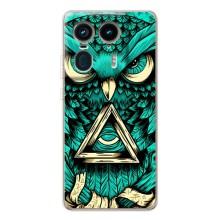 Чехлы с принтом СОВЫ для Motorola Edge 50 Ultra – Зеленая сова