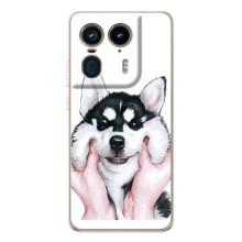 Чехлы с собаками для Motorola Edge 50 Ultra (VPrint)