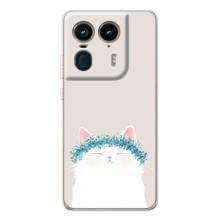 Чохол на тематику: Коти для Motorola Edge 50 Ultra – Білий котик