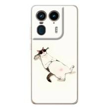 Чохол на тематику: Коти для Motorola Edge 50 Ultra – Відпочинок