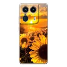 Чехол с Цветами для Motorola Edge 50 Ultra (поле подсолнухов)