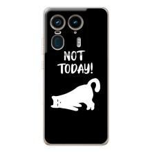 Бампер с изображением Котиков для Мото Ейдж 50 Ультра – Not Today