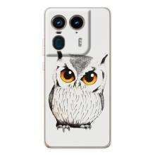 Чохол з пташками на Motorola Edge 50 Ultra (VPrint)