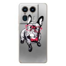 Чехол (ТПУ) Милые собачки для Motorola Edge 50 Ultra (Бульдог в очках)