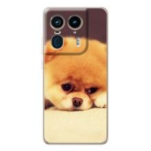 Чехол (ТПУ) Милые собачки для Motorola Edge 50 Ultra (Померанский шпиц)