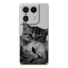 Чехол с рисунком кот на Motorola Edge 50 Ultra – Пара котов