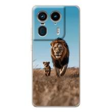 Чехол Король лев на Мото Ейдж 50 Ультра – Мусафа и Симба