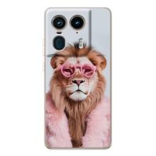 Чохол з принтом стильні тварини для Мото Ейдж 50 Ультра – Лев в окулярах