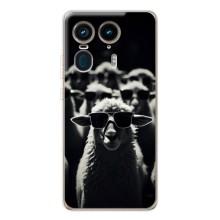 Чохол з принтом стильні тварини для Мото Ейдж 50 Ультра – Овечка в окулярах