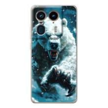 Чехол с картинкой «Хищники» для Motorola Edge 50 Ultra – Медведь