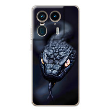 Чехол с картинкой «Хищники» для Motorola Edge 50 Ultra – Змея
