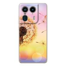 Силіконовий Чохол з кульбабками на Motorola Edge 50 Ultra – Квітка-кульбаба