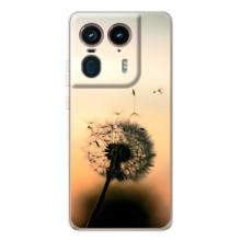 Силіконовий Чохол з кульбабками на Motorola Edge 50 Ultra – Роздмухана кульбабка