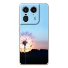 Силіконовий Чохол з кульбабками на Motorola Edge 50 Ultra – Захід з кульбабкою