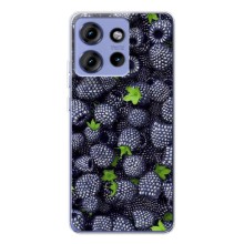 Чехлы с Фруктами для Motorola Edge 50 (VPrint) (Ежевика)