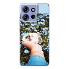 Чехлы с изображением разных животных для Motorola Edge 50 (Ежик на руках)