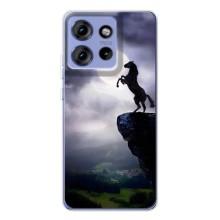 Чехлы с изображением разных животных для Motorola Edge 50 (Лошадь)