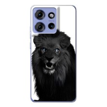 Чехлы с картинками животных Motorola Edge 50 (Черный ЛЕВ)