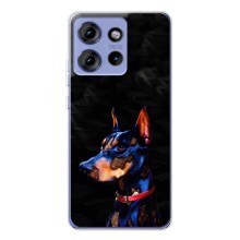 Чехлы с картинками животных Motorola Edge 50 (Собака)