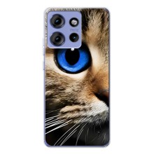 Чехлы с Котиками для Motorola Edge 50 (VPrint) (Глаз кота)