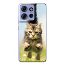 Чехлы с Котиками для Motorola Edge 50 (VPrint) (Прыжок кота)