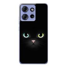Чохол на тематику: Коти для Motorola Edge 50 – Чорний Котик