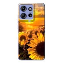 Чохол з Квітами для Motorola Edge 50 (поле соняшників)