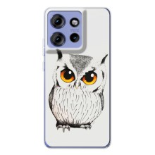 Чехол с птицами на Motorola Edge 50 (VPrint) (Милая Сова)