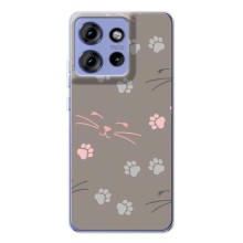 Чехол с рисунком кот на Motorola Edge 50 (Лапы и усы)