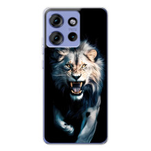 Чехол с картинкой «Хищники» для Motorola Edge 50 – Лев