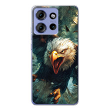 Чехол с картинкой «Хищники» для Motorola Edge 50 – Орёл
