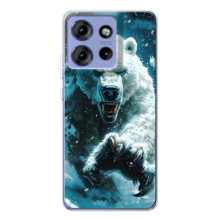 Чехол с картинкой «Хищники» для Motorola Edge 50 – Медведь
