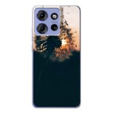 Силиконовый Чехол с одуванчиками на Motorola Edge 50 – Красивый одуванчик