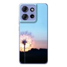 Силиконовый Чехол с одуванчиками на Motorola Edge 50 – Закат с одуванчиком