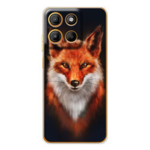 Чехол с принтом лисички на  – Лиса на черном