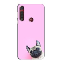 Бампер для Motorola G8 Play с картинкой "Песики" – Собака на розовом