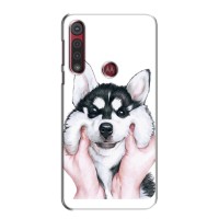 Бампер для Motorola G8 Play с картинкой "Песики" – Собака Хаски