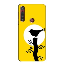Силіконовий бампер з птичкою на Motorola G8 Play