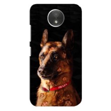 Чехлы с картинками животных Motorola Moto C (XT1750) (Овчарка)