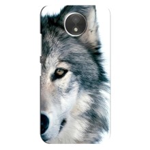 Чехлы с картинками животных Motorola Moto C (XT1750) (Волк)