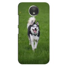 Чехол с Хаски для Motorola Moto C (XT1750) - (AlphaPrint) (Радостный Хаски)