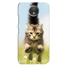 Чехлы с Котиками для Motorola Moto C (XT1750) (VPrint) (Прыжок кота)