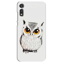 Чохол з пташками на Motorola MOTO E 2020 (VPrint) (Мила Сова)