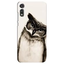 Чохол з пташками на Motorola MOTO E 2020 (VPrint) (Сова)